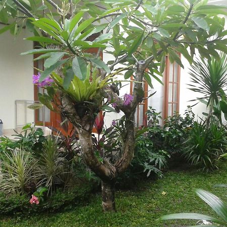 Jepun Bali Homestay Sanur Buitenkant foto