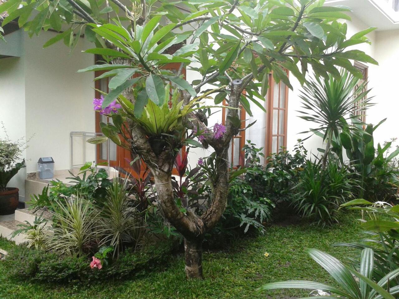 Jepun Bali Homestay Sanur Buitenkant foto